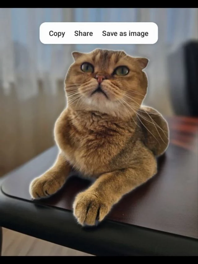 Samsung Image Clipper Feature: Eligible Samsung Galaxy devices