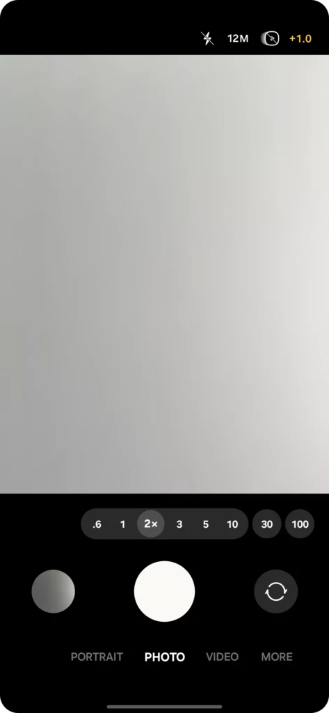 2x Zoom button by default