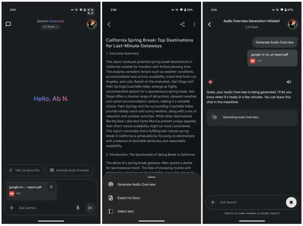 Gemini Audio Overview