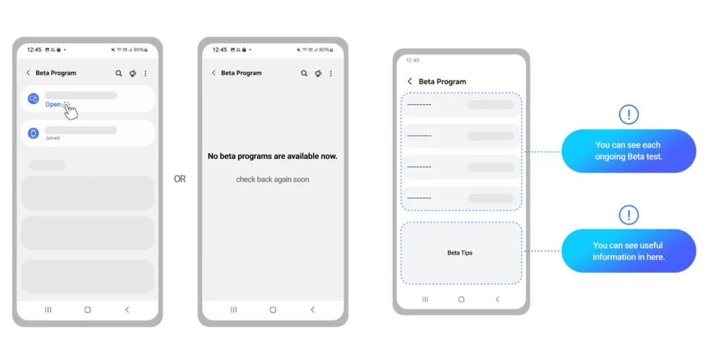 Samsung One UI Beta Program Home