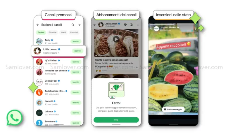 WhatsApp Channel