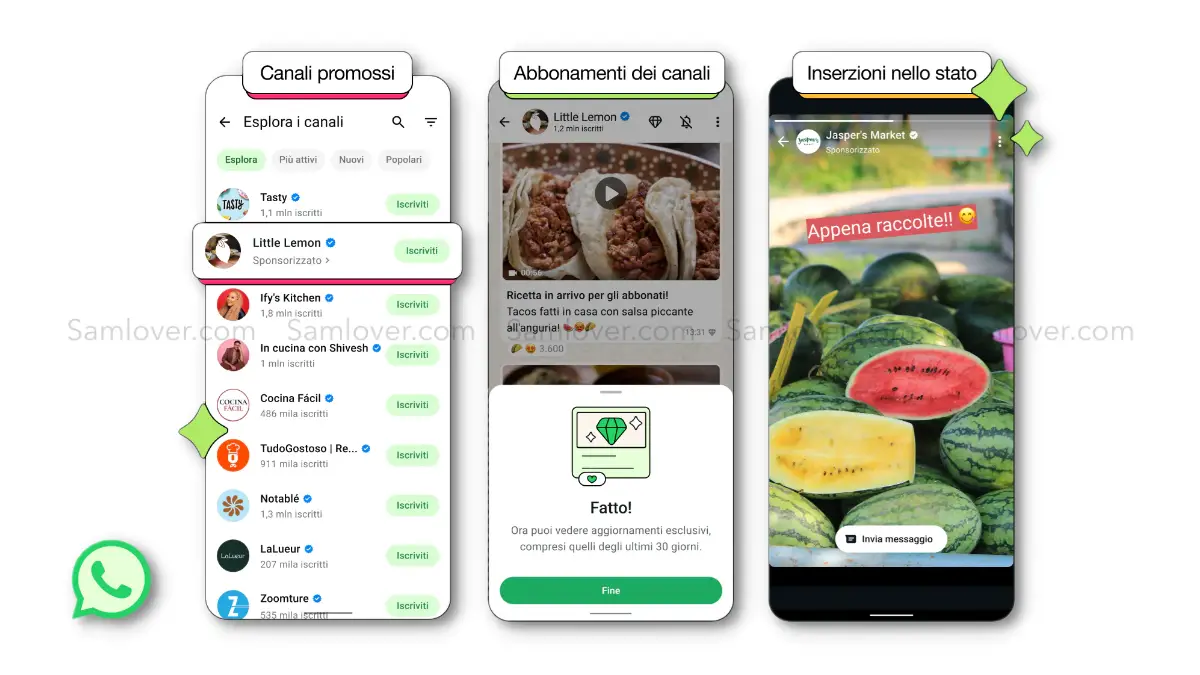 WhatsApp Channel