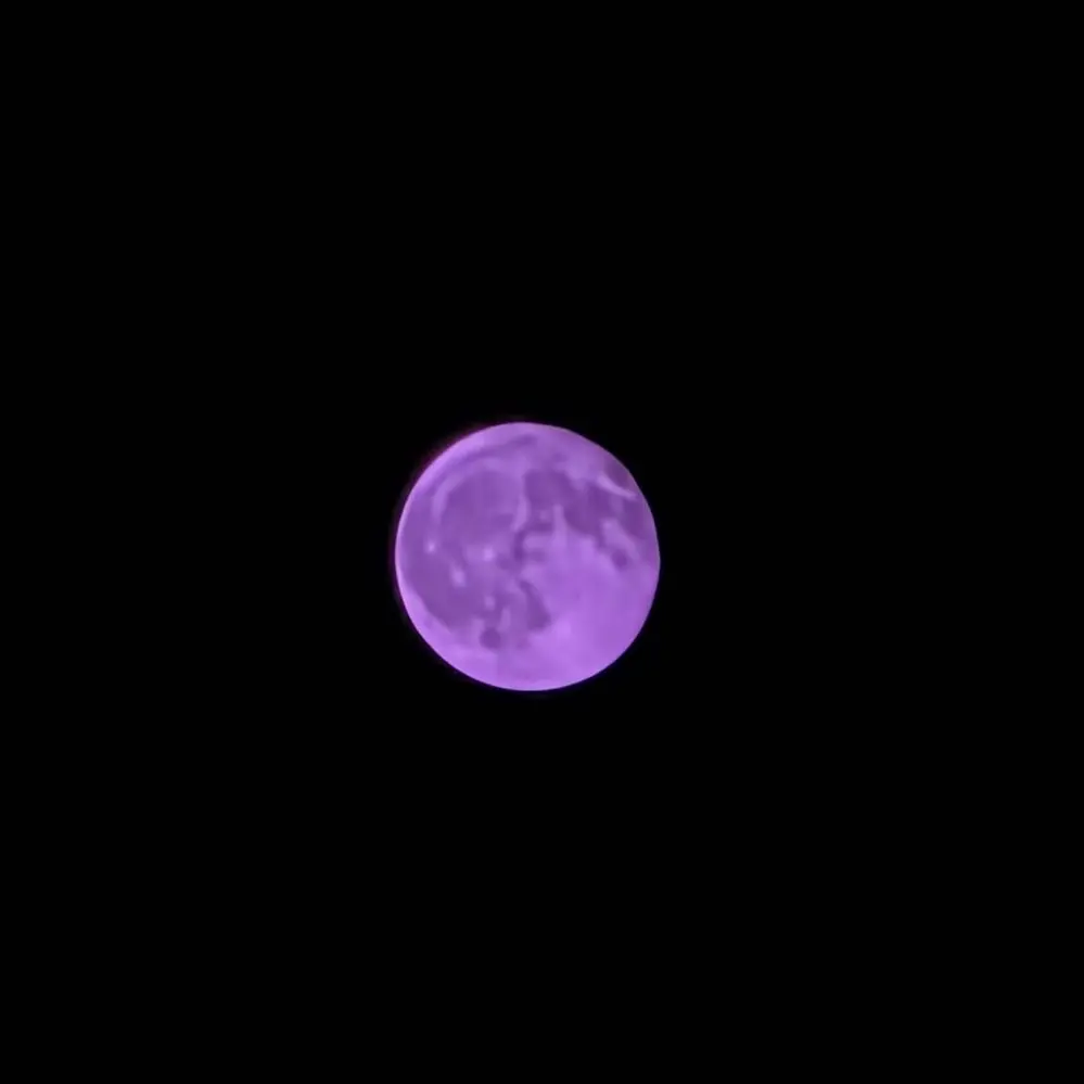 Galaxy S25 Purple Moon Issue