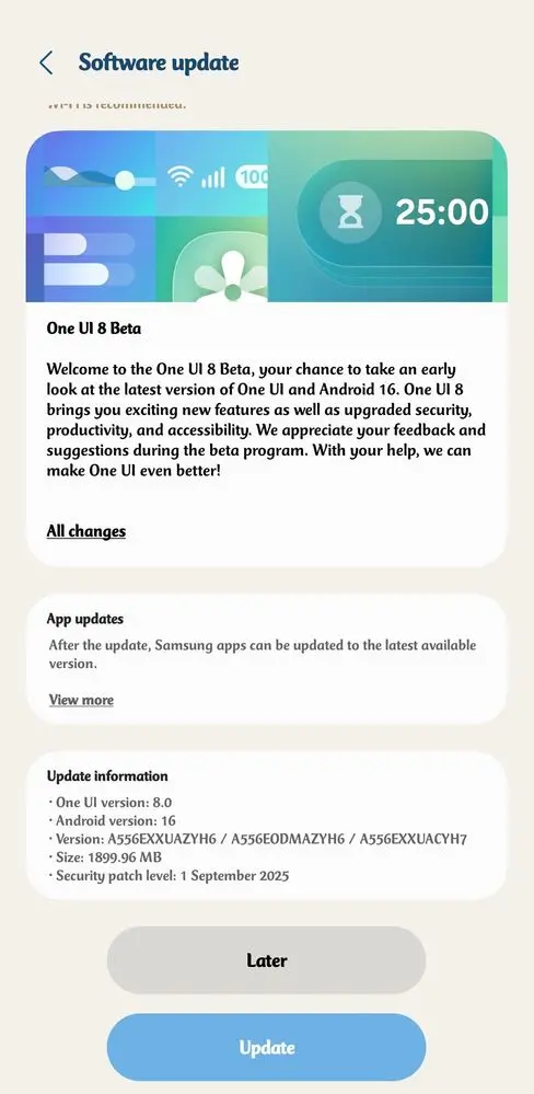 Galaxy A55 One UI 8 Beta India