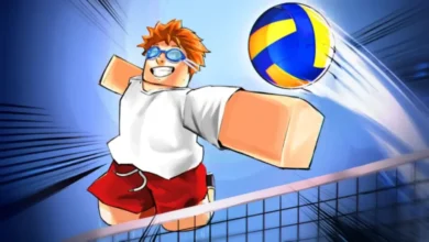 Volleyball Legends Codes