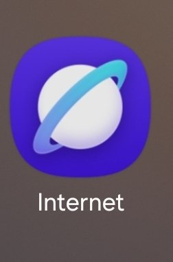 One UI 8.5 Samsung Internet Icon