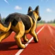 Dog Race Roblox Game codes Feature image