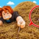 Search For The Needle codes — in-game Codes redemption menu