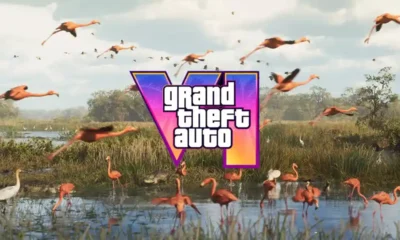 GTA 6 - alligator and flamingos in a Leonida wetland